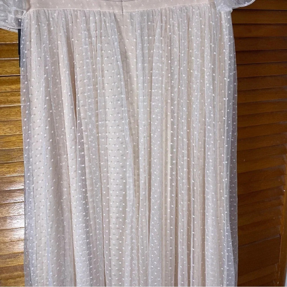 Adrianna Papell By Anthropologie Rivoli Tulle Blush Rose Gown Sz 10 NWT - Picture 8 of 10